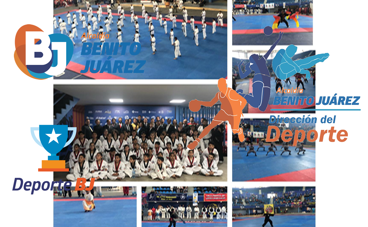 Fiesta de artes marciales