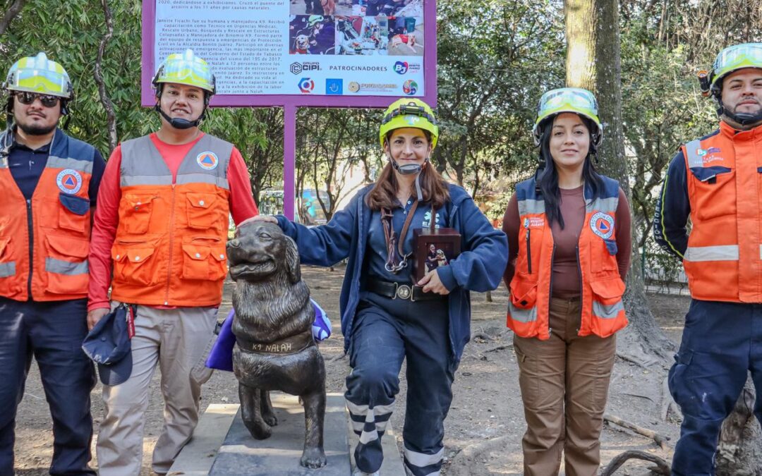 Con estatua canina rinden homenaje a “Nalah”, perrita rescatista que salvó a 17 personas