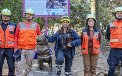 Con estatua canina rinden homenaje a “Nalah”, perrita rescatista que salvó a 17 personas