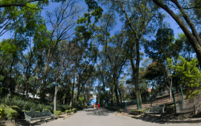 Oportunismo de partidos políticos no tiene cabida en la alcaldía Benito Juárez