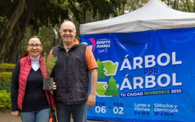 Concluye con éxito el programa “Árbol por Árbol, tu Ciudad Reverdece 2025” en Benito Juárez; se recolectaron 5,571 árboles de Navidad