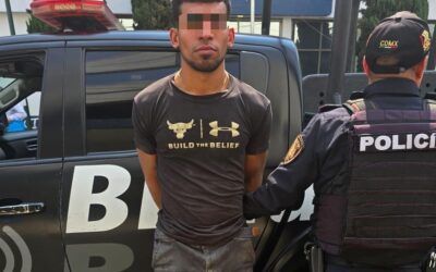 Detiene Blindar BJ 360º a presunto responsable por tala de árbol en la colonia Letrán Valle