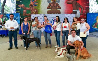 ¡Por una alcaldía con más corazón!, alcaldía Benito Juárez celebra el Día Mundial de los Animales sin Hogar con gran jornada de adopción