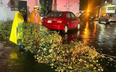 Atiene alcaldía Benito Juárez decenas de emergencias por intensas lluvias