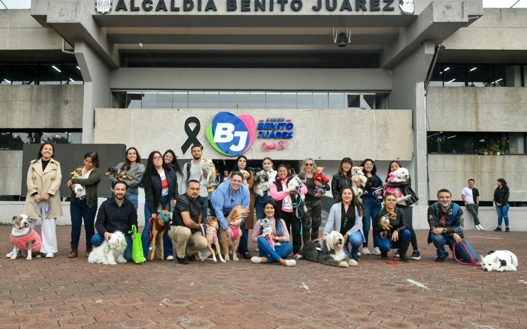 En Benito Juárez somos una alcaldía aliada de los animales de compañía