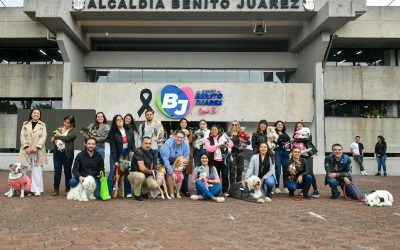 En Benito Juárez somos una alcaldía aliada de los animales de compañía