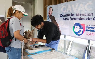 En la alcaldía Benito Juárez cuidamos la salud de los animales de compañía