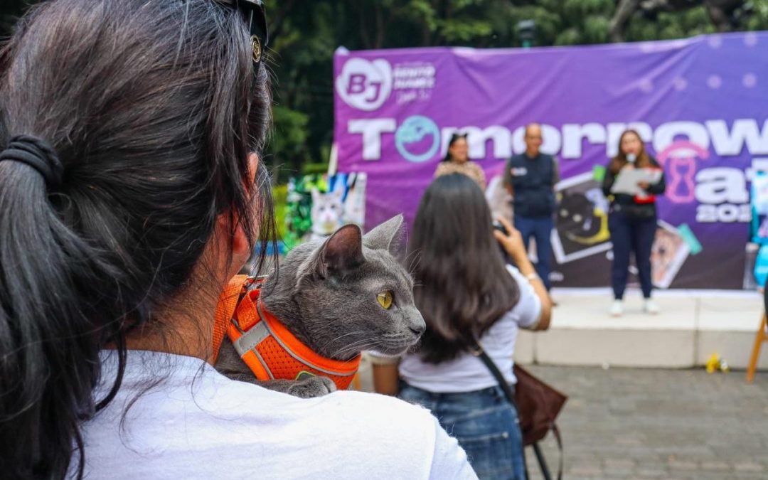 La Alcaldía Benito Juárez celebra el Día Internacional del Gato con el evento «Tomorrow Cat»