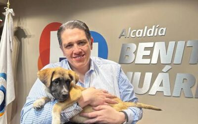 Proteger y garantizar el bienestar de los animales de compañía, una prioridad en Benito Juárez: alcalde Luis Mendoza