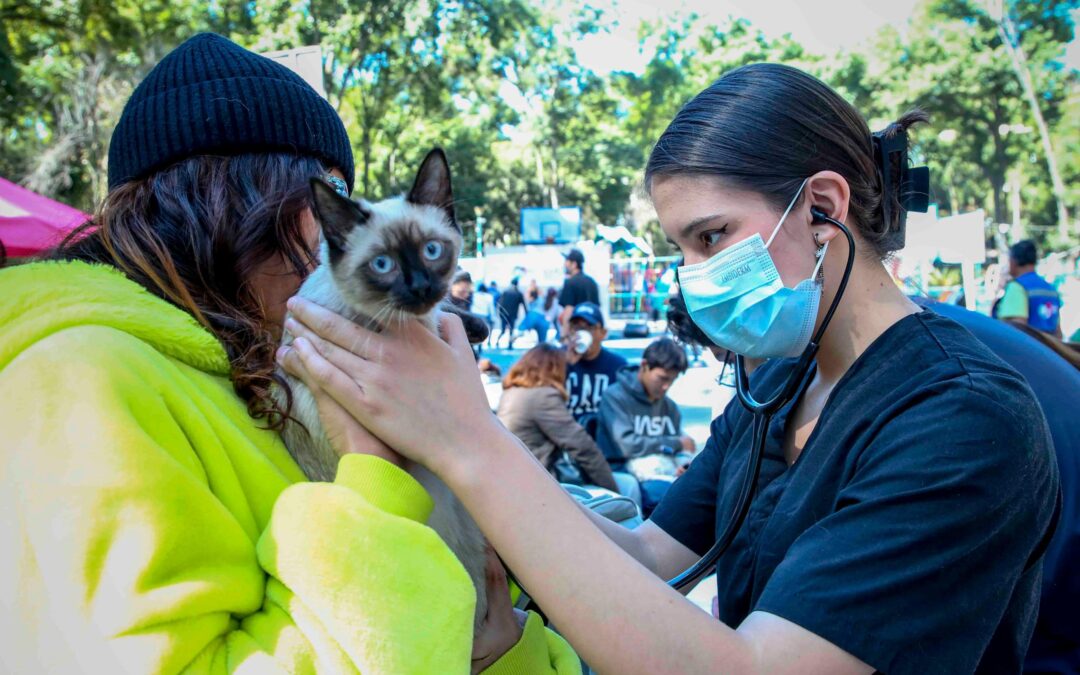Alcalde Luis Mendoza acerca servicios integrales a familias con jornada “La BJ cerca de ti”