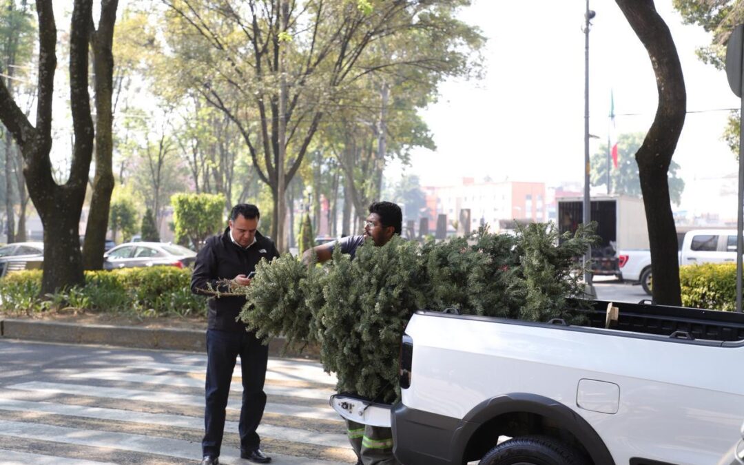 Concluye programa “Árbol por Árbol tu Ciudad Reverdece 2026”; alcalde Luis Mendoza reconoce la participación de los benitojuarenses