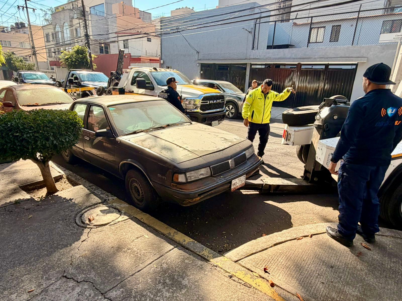 WhatsApp Image 2026-02-17 at 12.10.41