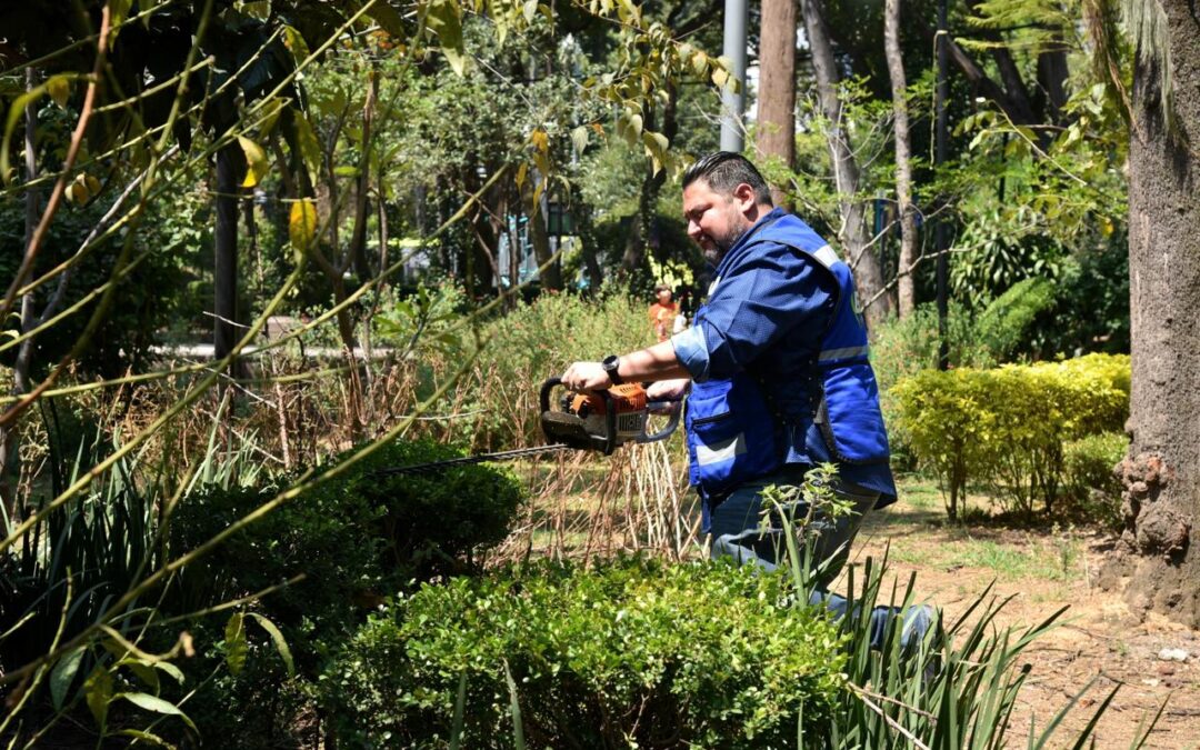 Realiza alcaldía Benito Juárez jornada integral de recuperación y mantenimiento en el Parque de la Bola