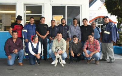 Yuca, perrita rescatada encuentra hogar en campamento de limpia de la alcaldía Benito Juárez