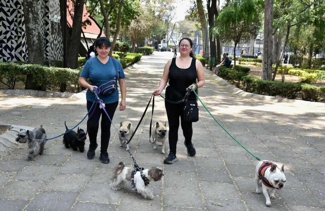 La alcaldía Benito Juárez se consolida como la más segura de la Megalópolis