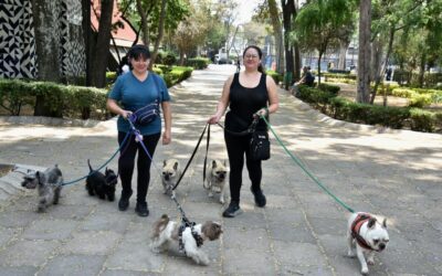 La alcaldía Benito Juárez se consolida como la más segura de la Megalópolis