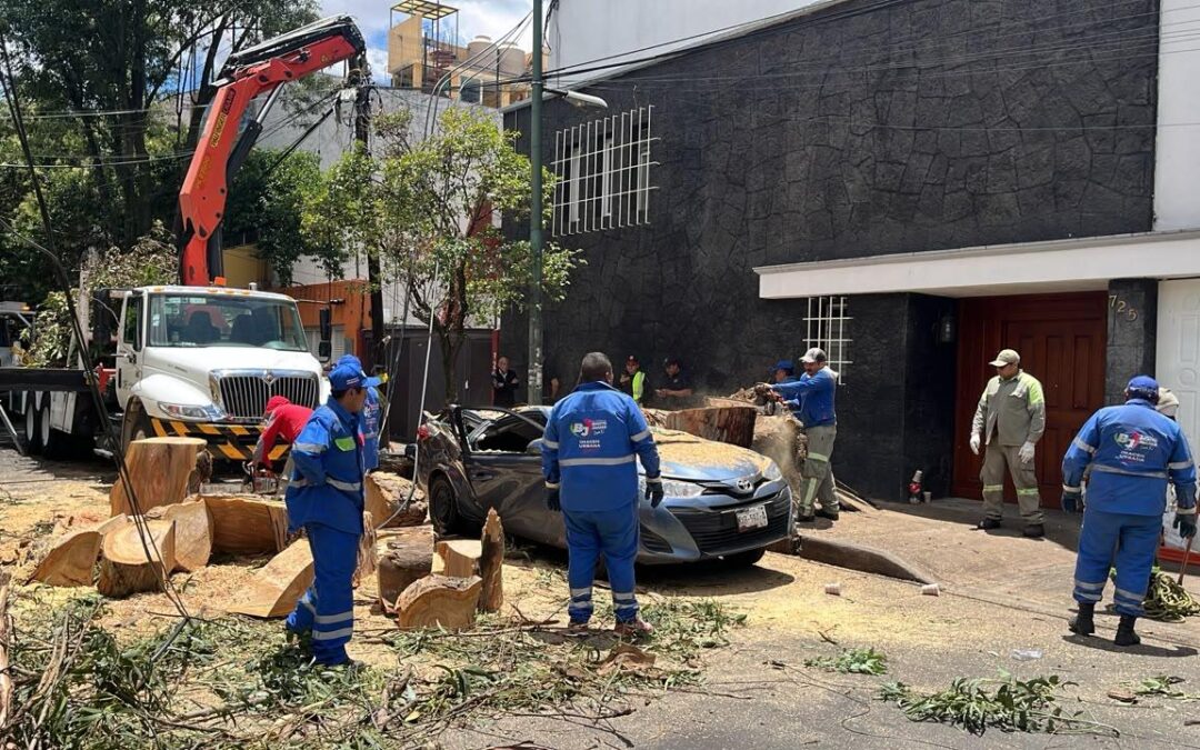 Blindar BJ360°, Protección Civil y Servicios Urbanos de Benito Juárez atienden de manera inmediata afectaciones provocadas por fuertes lluvias