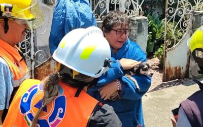 Equipos de Blindar BJ 360° y Protección Civil atienden incendio y rescata a dos perritos en la colonia Villa de Cortés