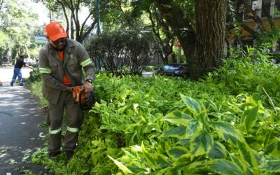 “Martes de Parques y Jueves de Colonias”; alcalde Luis Mendoza establece calendario permanente para recuperar espacios públicos en Benito Juárez
