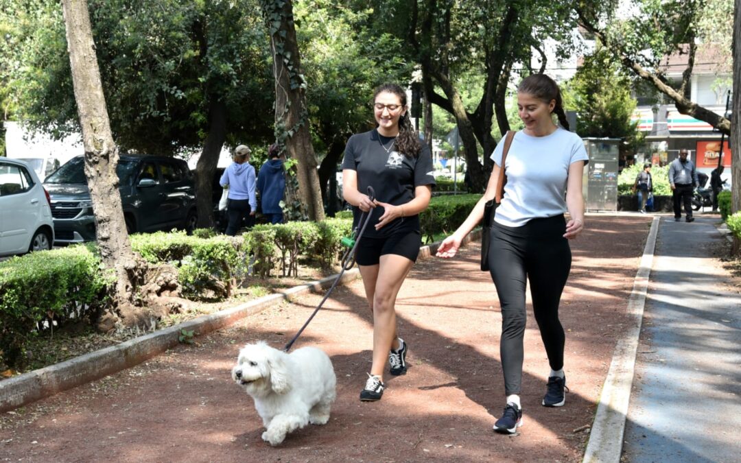 Alcaldía Benito Juárez la segunda más segura del país, la más segura de todos los municipios de la Megalópolis y, una vez más, la más segura de la CDMX: INEGI